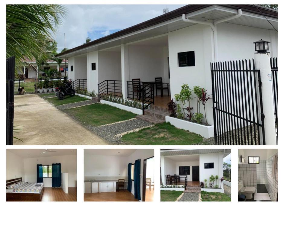 Palm Tree Lodge Moalboal Exterior foto